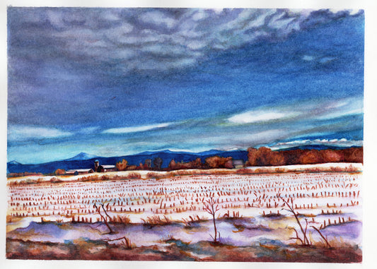 Blank watercolor print Note Cards